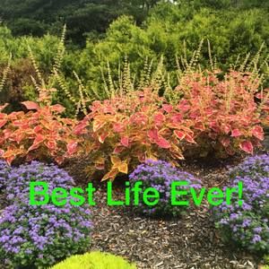 Meet your Posher, Erika